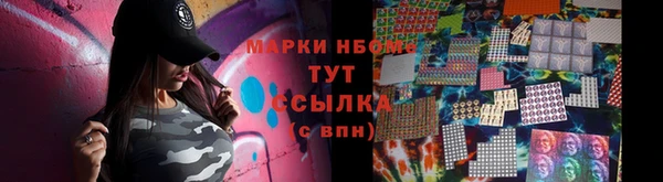 сатива Абинск