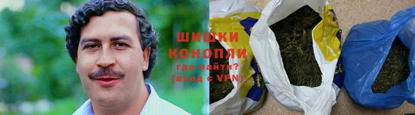 сатива Абинск