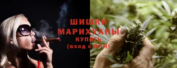сатива Абинск