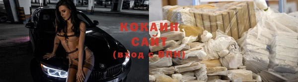 сатива Абинск