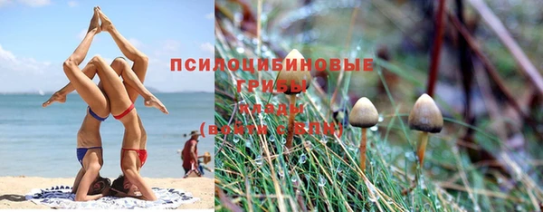 экстази Алексин