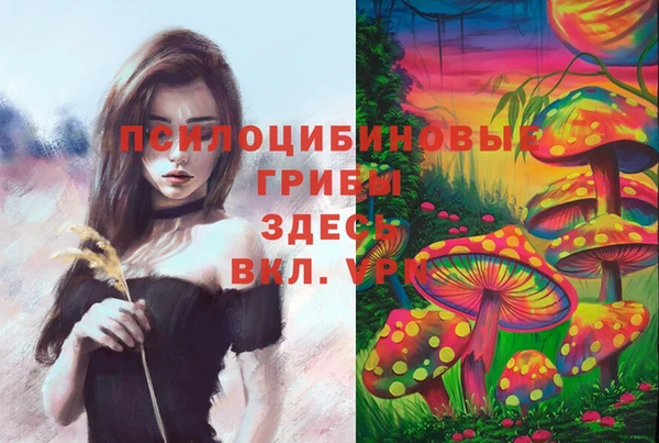 MESCALINE Абаза